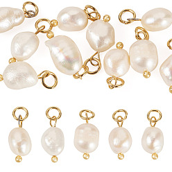 Golden 10Pcs Natural Cultured Freshwater Pearl Pendants, Two Sides Polished Charms with 304 Stainless Steel Loops, Seashell Color, Golden, 16.6x7.5mm