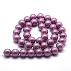 Orchid Polished Round Grade A Shell Pearl Bead Strands, Orchid, 6mm, Hole: 1mm, about 64pcs/strand, 15.7 inch