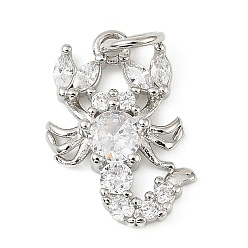 Платина Латунные микро проложить кубического циркония подвески, омар, долговечный, стойки покрытие, без свинца и без кадмия, с целью перехода в кольце, платина, 15.5x10.5x3.5 мм