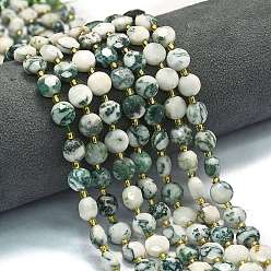 Древесный агат Натурального дерева агат бисер нитей, граненый пятиугольный разрез, плоско-круглые, с бисером, 8~8.5x5 мм, отверстие : 0.8 мм, около 36 шт / нитка, 15.16''~15.24'' (38.5~38.7 см)