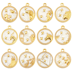 Constellation 24 шт 12 стили подвески из сплава эмали, двенадцать созвездий, круглые, созвездие, 18x15.5x2 мм, отверстие : 1.4 мм, 2 шт / стиль