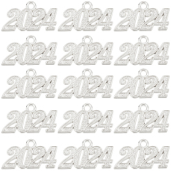 Платина 50 подвески из сплава шт., число 2024, платина, 18~19x32~33x2 мм, отверстие : 3 мм