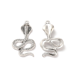 Античное Серебро Сплавочные подвески тибетского стиля, очарование змеи, античное серебро, 27x17x5 мм, отверстие : 1.3 мм, Около 277 шт / 500 г