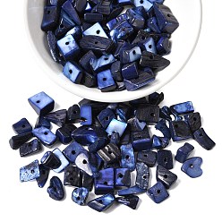 Королевский синий Крашеные натуральные пресноводные ракушки, осколки оболочки, королевский синий, 7~11x5~8 мм, отверстие : 1 мм, Около 980 шт / 500 г