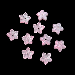 Pink Окрашенные и нагретые стеклянные колпачки для бусин, 5-лепестков цветка, розовые, 9x9.5~10x3.8 мм, отверстие : 1 мм