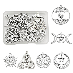 Couleur Acier Inoxydable 12 pcs 6 style 304 pendentifs en acier inoxydable, forme mixte, couleur inox, 19~32x25~35x1~2mm, Trou: 1.2~1.5mm, 2 pcs / style