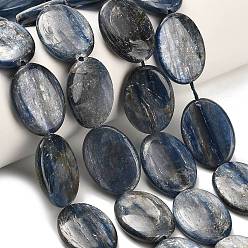 Синий Натуральный кианитовые бисер пряди, форма яйца, синие, 24.5~25.5x18x5.5~6 мм, отверстие : 1 мм, около 16 шт / нитка, 15.47'' (39.3 см) ~ 15.87'' (40.3 см)
