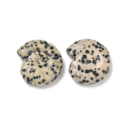 Далматинских Джаспер Декоративные раковины из натурального далматинского яшмового камня., фигурка для украшения дома, энергетический камень рейки для исцеления, 26x23.5~24.5x9 мм