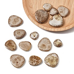 Перу Мозаичная плитка из фарфора кабошоны, для украшения дома или поделок, слеза, Перу, 20~43x20~43x5 мм, Около 14 шт / 100 г, 100 г / набор