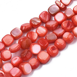 Помидор Натуральная оболочка из трохидных оболочек, окрашенные, плоско-круглые, помидор, 5~9x1~6 мм, отверстие : 1 мм, около 49~50 шт / нитка, 15.16 дюйм ~ 15.87 дюйм (38.5 см ~ 40.3 см)