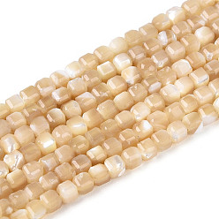 пшеница Натуральная оболочка из трохидных оболочек, граненый стол, вырезанный куб, цвет пшеницы, 2~2.5x2~2.5x2~2.5 мм, отверстие : 0.6 мм, около 157~164 шт / нитка, 14.96~15.35 дюйм (38~39 см)