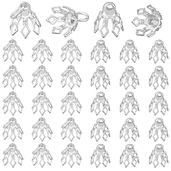 Серебро 80шт 2 стиль латунные филигранные бусины колпачки скобы, цветок, 7-лепесток, серебряные, 8x8 мм, отверстие : 1.2~3 мм, 40 шт / стиль