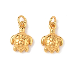 Настоящее золото 24K Подвески из морской латуни, прелести черепахи, долговечный, без свинца и без кадмия, с целью перехода в кольце, реальный 24 k позолоченный, 11.5x8x3.5 мм, отверстие : 2 мм