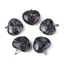 Larvikite Подвески из натурального ларвикита, сердце прелести, с 201 защелкой из нержавеющей стали на поручнях, цвет нержавеющей стали, 26~28x27.5~29x10~12 мм, отверстие : 7x2 мм
