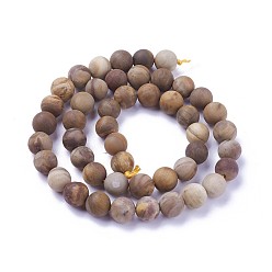 Деревянное Окаменение Природные окаменелое дерево бисер пряди, матовые, круглые, 8 мм, отверстие : 1.2 мм, около 46~47 шт / нитка, 14.8 дюйм ~ 15.51 дюйм (37.7~39.4 см)