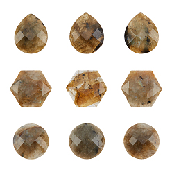 Labradorite 9Pcs 3 Style Natural Labradorite Cabochons, Faceted, Half Round & Hexagon & Teardrop, 15.5~18x15~18x4.5~5.5mm, 3pcs/style