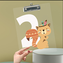 Number Acrylic Clipboards, Multi Pack Clipboards, with Clip, for Office, Rectangle, Num.2, 305x225mm