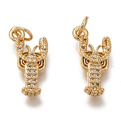 Золотой Латунные микропаве прозрачные подвески с фианитом, без кадмия и без свинца, долговечный, форма креветки, золотые, 18x9.5x2 мм, отверстие : 3 мм