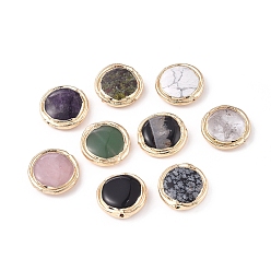 Смешанные камни Природный драгоценный камень, с позолоченным латунным краем, плоско-круглые, 23~24x7 мм, отверстие : 1 мм