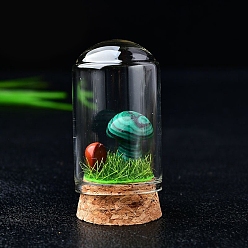 Малахит Украшения для выставки грибов из натурального малахита, со стеклянной крышкой, для украшения рабочего стола домашнего офиса, 20 мм