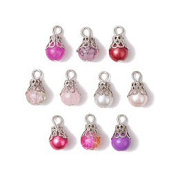 Камелия Стеклянные подвески, круглые, с железными колпачками для бусин и петлей из плоских головок, камелия, 16x8.5 мм, отверстие : 2.5 мм