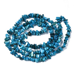 Deep Sky Blue Natural Freshwater Shell Beads Strands, Dyed, Chips, Deep Sky Blue, 2~6x4~14x4.5~8.5mm, Hole: 0.7~0.8mm, about 258~292pcs/strand, 31.10 inch~32.05 inch(79cm~81.4cm)