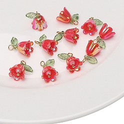 Красный 2ПК акриловый искусственный жемчуг, подвески в форме колокольчика и орхидеи, с железной фурнитурой золотого цвета, красные, 14x11 мм