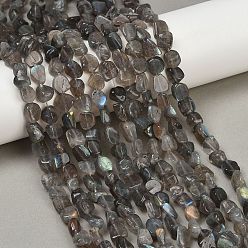 Лабрадорита Природные лабрадорита бисер нитей, самородки, упавший камень, 8~13x8~10x3~8 мм, отверстие : 1 мм, около 49~50 шт / нитка, 15.55~15.75'' (39.5~40 см)