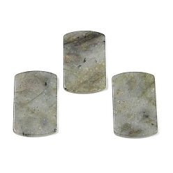 Лабрадорита Природные подвески лабрадорита, прямоугольник амулеты, 40x25x3.5 мм, отверстие : 1.6 мм