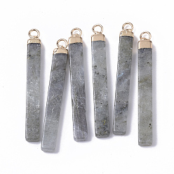 Лабрадорита Золотые позолоченные подвески, с золотыми тонами железных петель, бар, 44~45x5.5x3 мм, отверстие : 2 мм