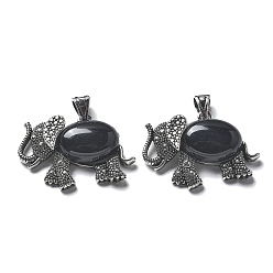 Обсидиан Природный обсидиан кулон, с латунной фурнитурой , без свинца и без кадмия, слон, 22.5x33.5x7.5 мм, отверстие : 5.5x4.5 мм