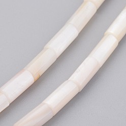 Seashell Color Natural Shell Bead Strands, Dyed, Column, Seashell Color, 5x10mm, Hole: 1mm, about 39pcs/strand, 15.9 inch