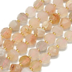 Вишневый агат Натуральные вишневые агатовые бусины, граненые, восьмиугольный, 9~10.5x9~10.5x7.5~8.5 мм, отверстие : 1 мм, около 36~40 шт / нитка, 15.35~15.55 дюйм (39~39.5 см)