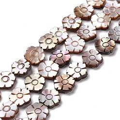 Other Sea Shell Natural Purple Shell Beads Strands, Flower, 11.5~12x12x2~3mm, Hole: 0.6mm, about 34~35pcs/strand, 15.55~16.54 inch(39.5~42cm)