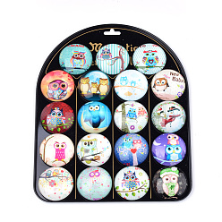 Mixed Color Fridge Magnets Glass Decorations, Flat Round with Owl Pattern, Mixed Color, 50x16mm