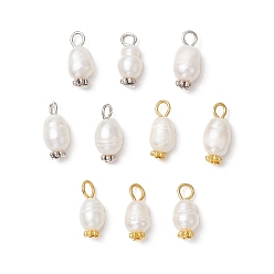 Платиновый & Золотой 10шт 2 цвета натуральный культивированный пресноводный жемчуг рисовые подвески, с железными петлями и ромашками-разделителями из сплава, цветочный белый, платиной и золотом, 15~16x6.5~7 мм, отверстие : 2~2.5 мм, 5 шт / цвет