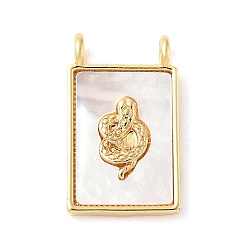 Змея Подвески из латуни с натуральными белыми ракушками, прямоугольник амулеты, реальный 18 k позолоченный, долговечный, без свинца и без кадмия, стойки покрытие, змея, 18x11x3.5 мм, отверстие : 1.6 мм