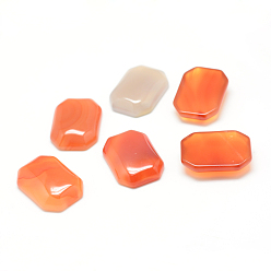 Красный Агат Окрашенные натуральные карбонеальные камбоны, прямоугольные, 25x18x7 мм