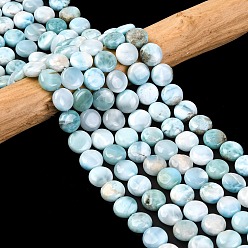 Ларимар Природные ларимар бисер нитей, плоско-круглые, 10x5.5 мм, отверстие : 1.2 мм, около 39 шт / нитка, 15.28 дюйм (38.8 см)