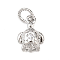 Платина Латунные подвески, черепаховые чары, без кадмия и без свинца, стойки покрытие, долговечный, с целью перехода в кольце, платина, 11x8x3.5 мм, отверстие : 3 мм