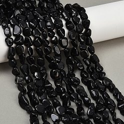 Турмалин Натуральный черный турмалин бисер нитей, самородки, упавший камень, 8~13x8~10x3~8 мм, отверстие : 1 мм, около 49~50 шт / нитка, 15.55~15.75'' (39.5~40 см)