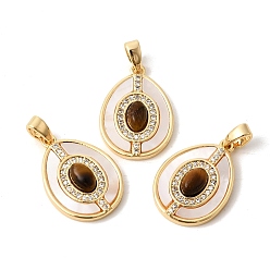 Тигровый глаз Натуральный тигровый глаз с подвесками из ракушек, Подвески в форме капли с латунными микропаве из прозрачных кубических цирконий., реальный 18 k позолоченный, 19~19.5x13.5~14x4.5~5 мм, отверстие : 2.5x4.8 мм