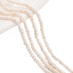 Папайя Оранжевый Нити из натурального культивированного пресноводного жемчуга, картофель, papayawhip, 1.5~2 мм, отверстие : 0.3 мм, около 95~111 шт / нитка, 6.89~7.48 дюйм (17.5~19 см)