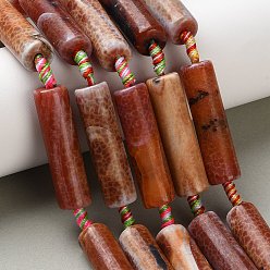 (224) Цвет бронзы Олимп внутри цвета Нити бусин из натурального огненного агата с трещинками (окрашенные и нагретые), колонка, огнеупорный кирпич, 40~41.5x10.5~11.5 мм, отверстие : 3 мм, около 8 шт / нитка, 27.36~27.76'' (69.5~70.5 см)