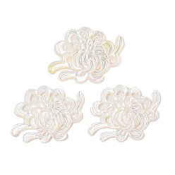 Белые Ракушки Резные кабошоны из натуральной белой ракушки, цветок, 24x33.5x2.5 мм