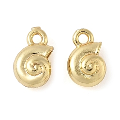 Настоящее золото 18K Латунные подвески, спиральная оболочка, долговечный, без свинца и без кадмия, реальный 18 k позолоченный, 9x6x4 мм, отверстие : 1.4 мм