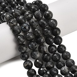 Larvikite Натуральные нити бус из ларвикита, граненые, круглые, 10 мм, отверстие : 1 мм, около 38~39 шт / нитка, 15.16'' (38.5 см)