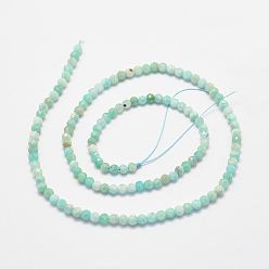 Amazonite Natural Amazonite Bead Strands, Faceted, Round, 2.5~3mm, Hole: 1mm, about 146pcs/strand, 15.3 inch