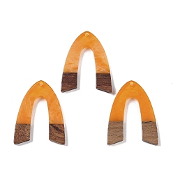 Оранжевый Подвески из смолы и дерева, арочные прелести, оранжевые, 37.5x28.5x3.5 мм, отверстие : 2 мм
