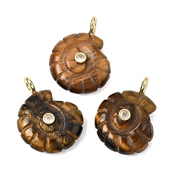 Тигровый глаз Резные подвески из натурального тигрового глаза, Подвески в форме раковины с латунными микропаве из прозрачных кубических цирконий., золотые, стойки покрытие, 34x25~26x10 мм, отверстие : 3.5 мм